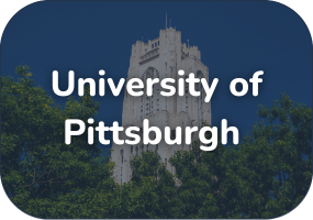 An image of Pitt as a button