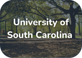 An image of South Carolina as a button